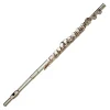 Beale FL200 Flute