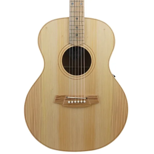 Cole Clark AN2E LH - Bunya Top, Maple B&S