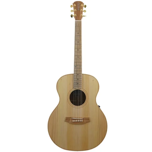 Cole Clark AN2E LH - Bunya Top, Maple B&S