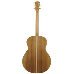 Cole Clark AN2E LH - Bunya Top, Maple B&S