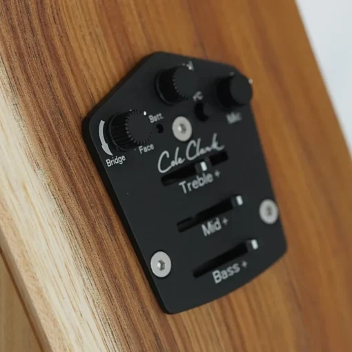 Cole Clark AN2E LH - Bunya Top, Maple B&S
