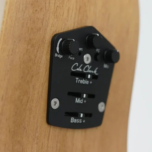 Cole Clark FL1E LH - Bunya Top, Maple B&S