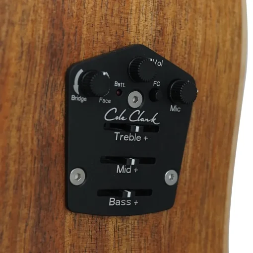 Cole Clark FL2E LH 12-String - Bunya Top, Blackwood B&S