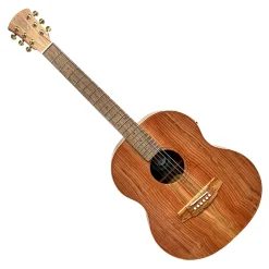Cole Clark LL2E Mini Left Handed - Redwood Blackwood