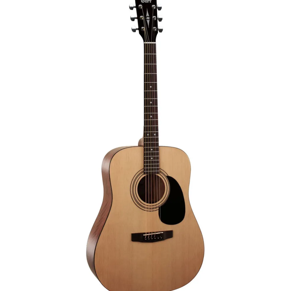 Cort CAP810 Guitar Pack