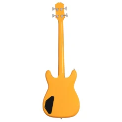 Epiphone Newport Bass - California Coral
