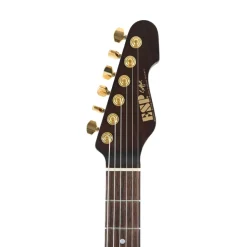 ESP Custom Shop Snapper CTM Electric Guitar - Blue Red Gradation