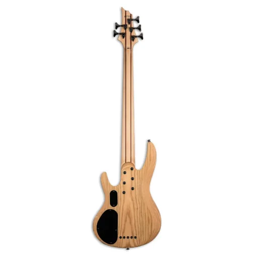 ESP LTD B-205 Spalted Maple 5-String Bass - Natural Satin