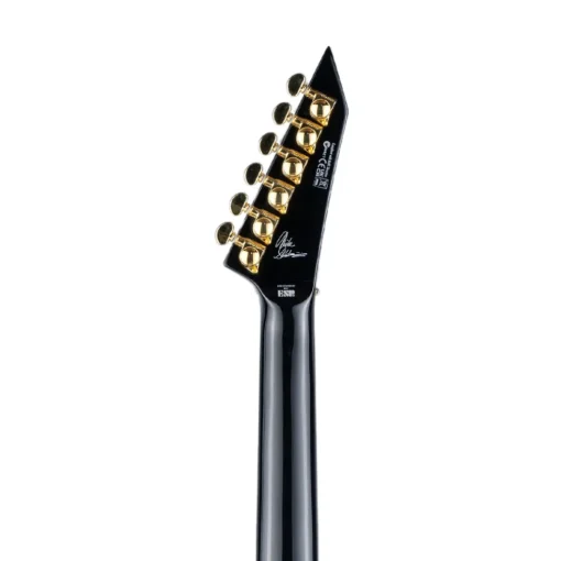 ESP LTD Mike Schleibaum MSV-1 Electric Guitar - Black
