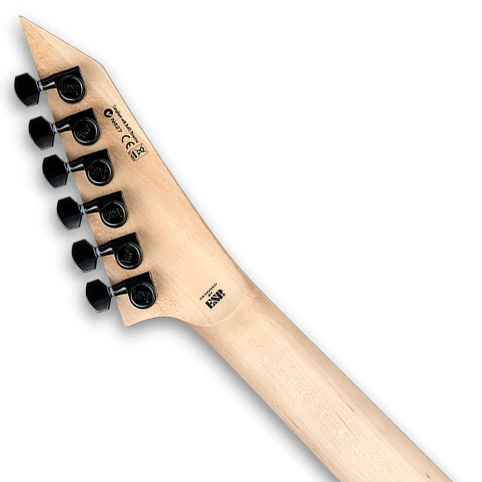 ESP LTD M-1001NT In Charcoal Burst