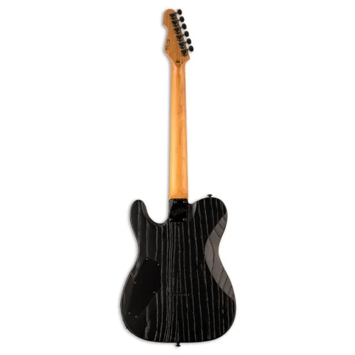 ESP LTD TE-1000 Electric Guitar - Black Blast