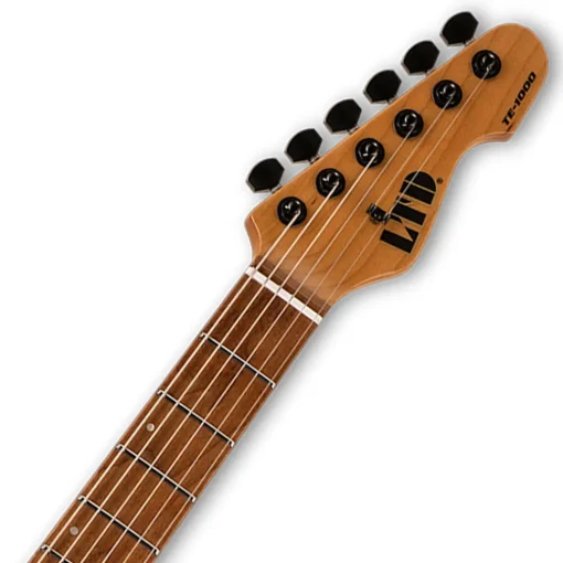 ESP LTD TE-1000 Electric Guitar - Black Blast