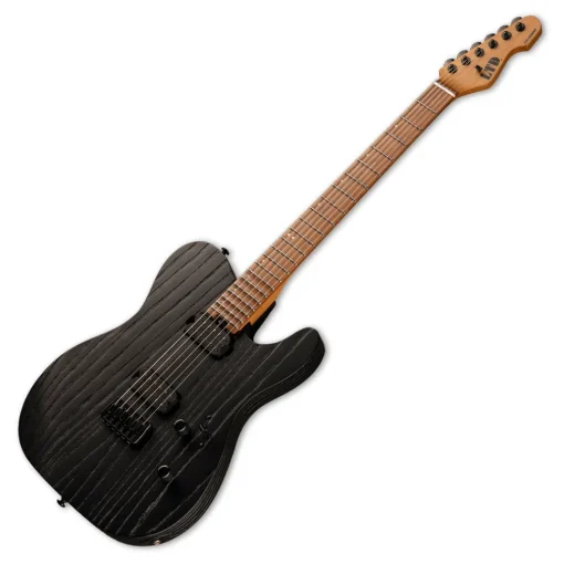 ESP LTD TE-1000 Electric Guitar - Black Blast