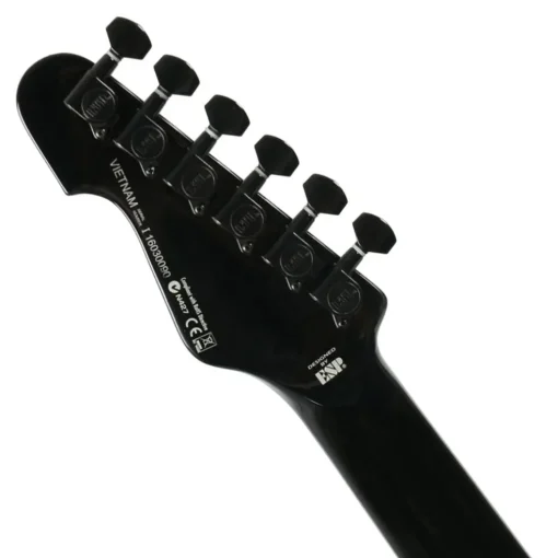 ESP LTD TE-200 Maple Board Black Finish