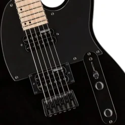 ESP LTD TE-200 Maple Board Black Finish
