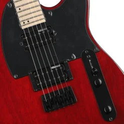 ESP LTD TE-200 Maple Board See Thru Black Cherry