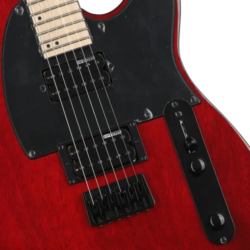 ESP LTD TE-200 Maple Board See Thru Black Cherry