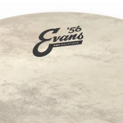 Evans 22" EQ4 Batter Calftone