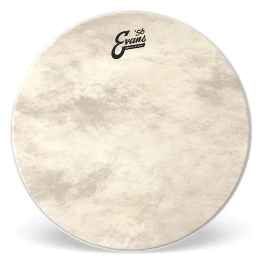Evans 20" EQ4 Calftone