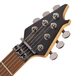 EVH - Wolfgang® WG Standard Exotic Spalted Maple, Baked Maple Fingerboard, Natural