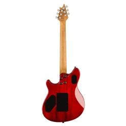 EVH Wolfgang WG Standard Exotic Zebrawood Natural