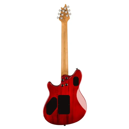 EVH Wolfgang WG Standard Exotic Zebrawood Natural