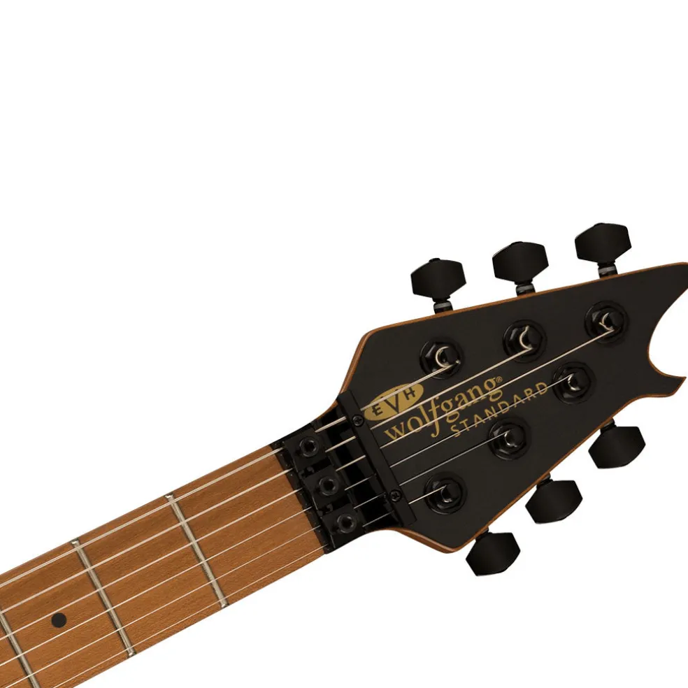 EVH Wolfgang® WG Standard, Baked Maple Fingerboard, Absinthe Frost