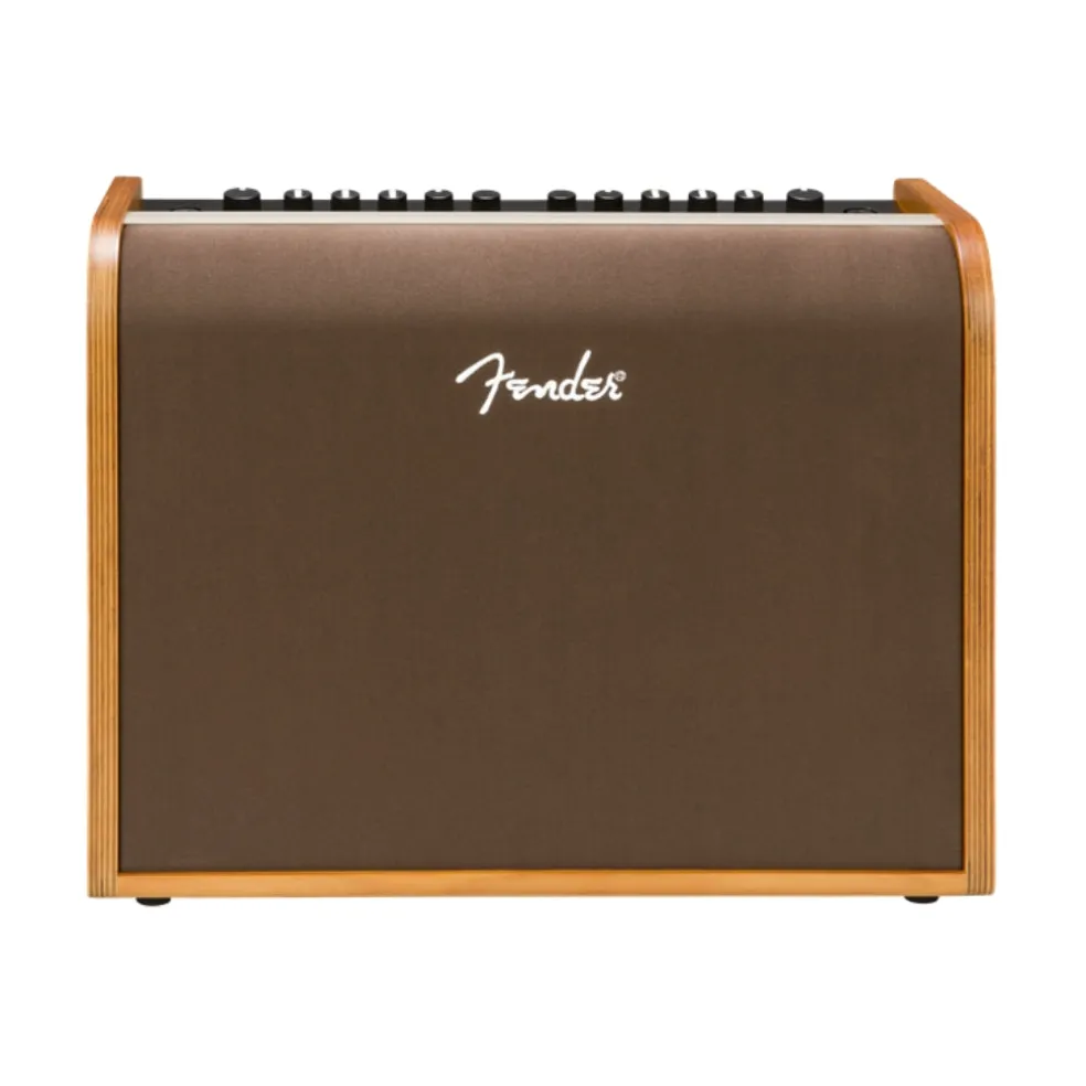 Fender Acoustic 100 Guitar Amplifier