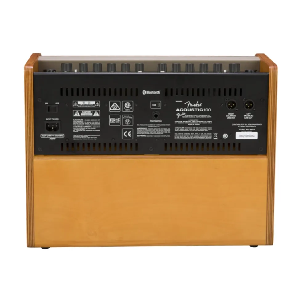 Fender Acoustic 100 Guitar Amplifier
