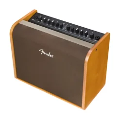 Fender Acoustic 100 Guitar Amplifier