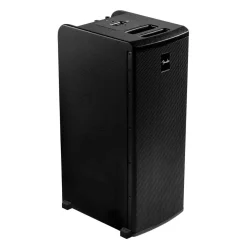 Fender EXPO Personal Line Array Tower