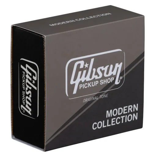 Gibson 490R MODERN CLASSIC RHYTHM DBL BLK 4COND