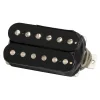 Gibson 70s Rhythm DBL BLK ALN V 16.3K