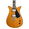Gibson Theodore Standard Antique Natural