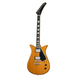 Gibson Theodore Standard Antique Natural