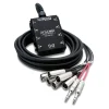 Hosa Technology Little Bro' 6X2 Sub Snake 20Ft