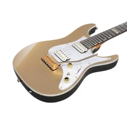 Ibanez - KRSY10 Scott LePage Signature Model Electric Guitar