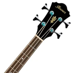 Ibanez AEB8EBK Acoustic Bass