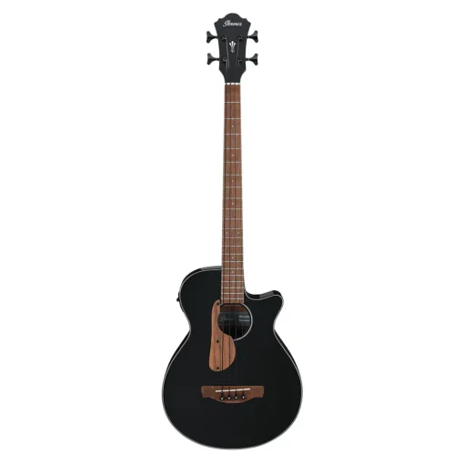 Ibanez AEGB24E Black High Gloss Acoustic Bass Guitar