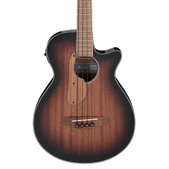 Ibanez AEGB24E Mahogany High Gloss Acoustic Bass Guitar