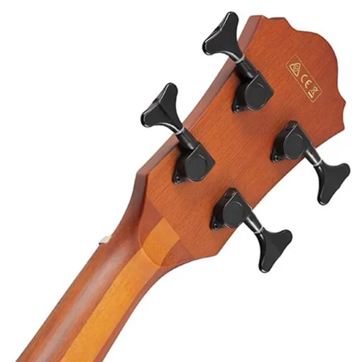 Ibanez AEGB24E Mahogany High Gloss Acoustic Bass Guitar