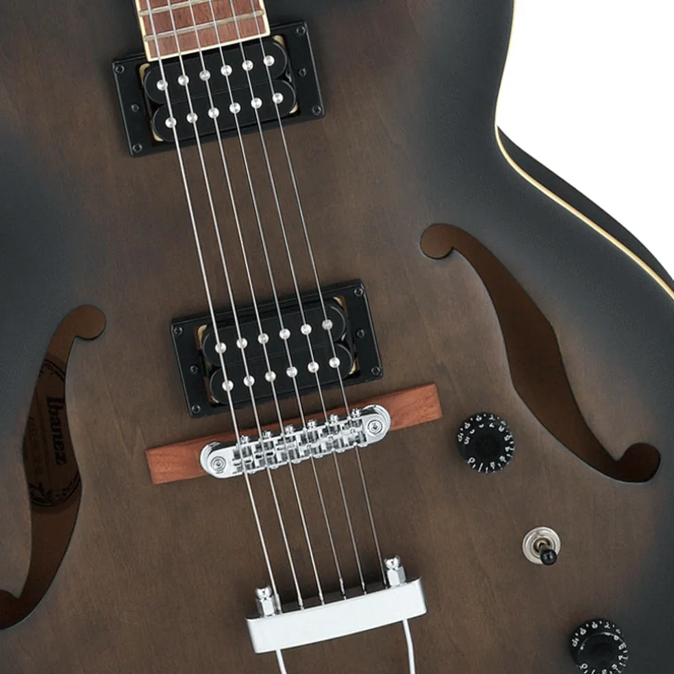 Ibanez AF55 - Transparent Black Flat