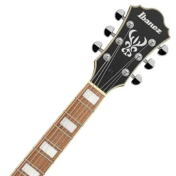 Ibanez AS73FM TIF Electric Guitar