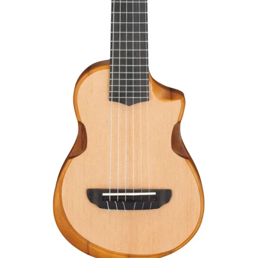 Ibanez AUP10NOPN Ukulele Open Pore Natural