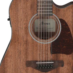 Ibanez AW5412CE OPN Acoustic Guitar