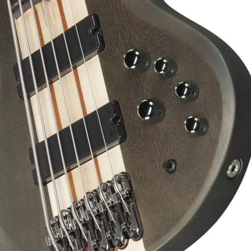 Ibanez BTB606 Transparent Gray Flat 6 String Electric Bass