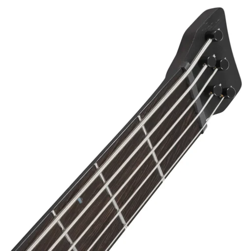 Ibanez EHB1675MS 5-String Bass with Fishman Fluence Pickups and Gig Bag - Natural Flat