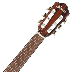 Ibanez FRH10N Brown Sunburst Flat Nylon String Guitar