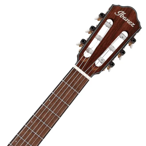 Ibanez FRH10N Indigo Metallic Flat Nylon String Guitar