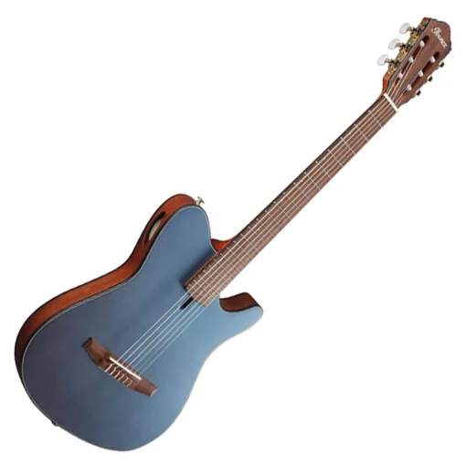 Ibanez FRH10N Indigo Metallic Flat Nylon String Guitar